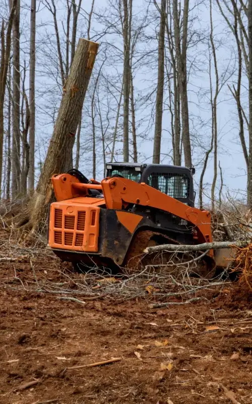 Forestry Mulching